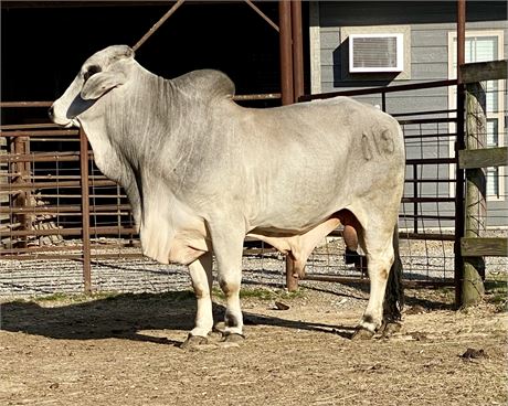 MR PBR 015